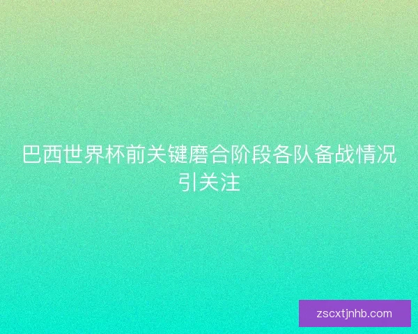 巴西世界杯前关键磨合阶段各队备战情况引关注